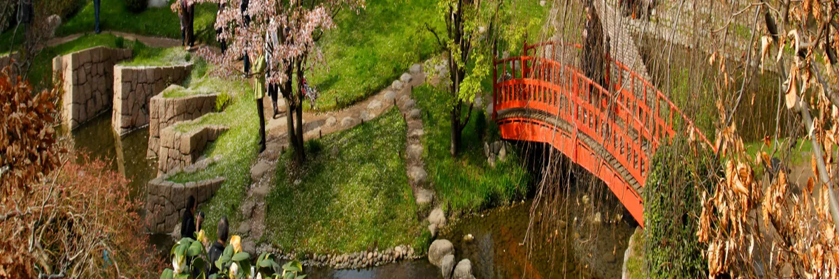 image-monte-escalier-boulogne-billancourt.webp Image Monte escalier Boulogne-Billancourt